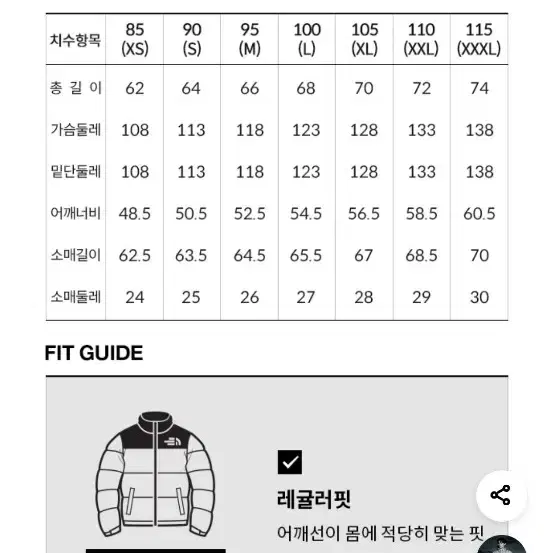 (2024) 노스페이스 퀀텀 눕시 한정판 L (거의 새상품) 판매합니다.