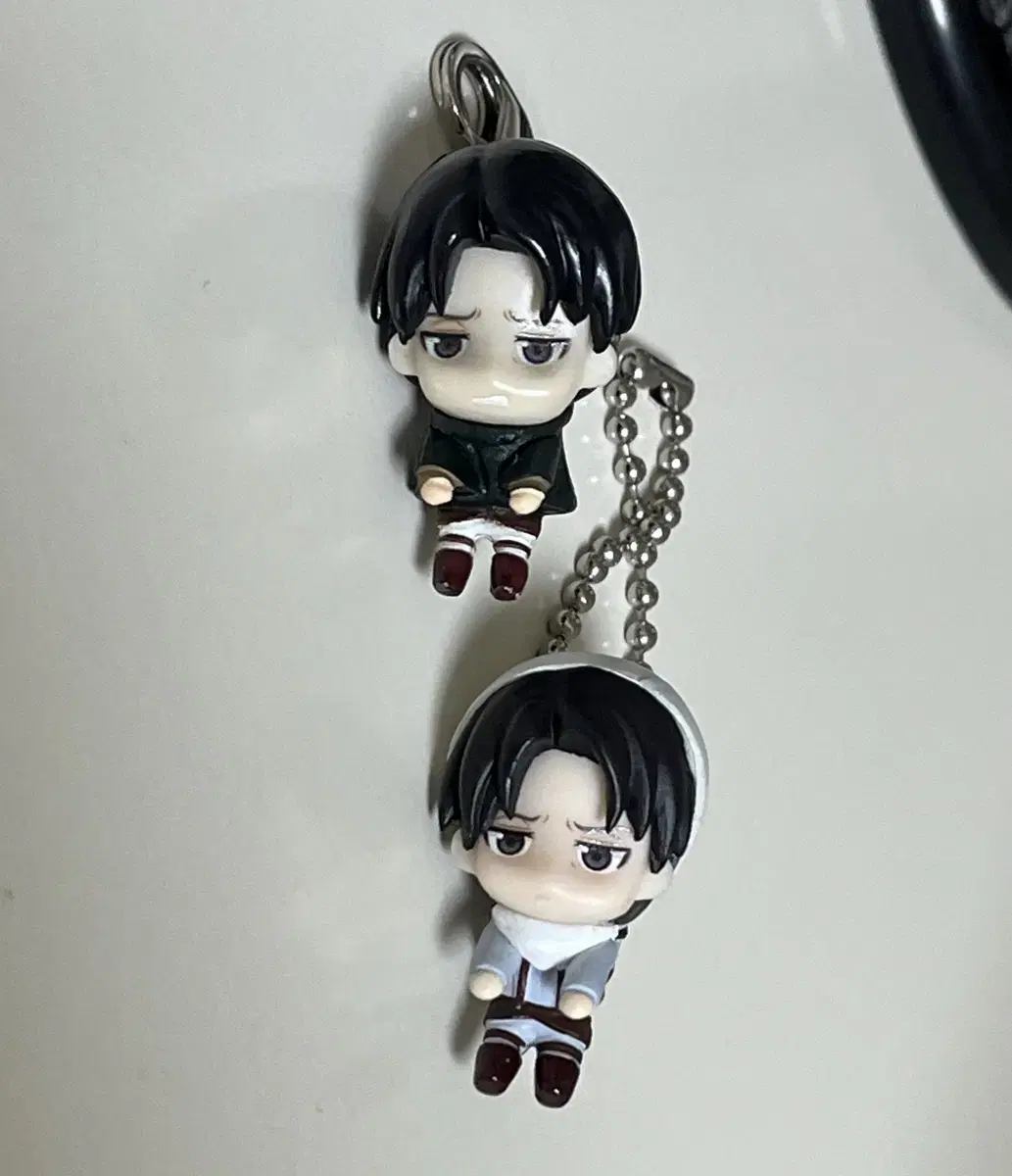 Jin's Giant Levi Darongacha in Bulk