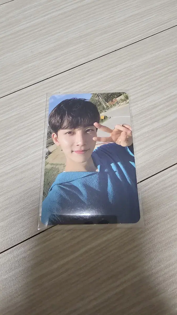 Seventeen Rinse Rae Dulbee jeonghan photocard WTS