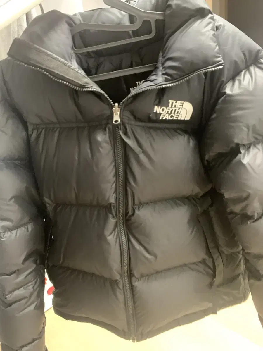 The North Face Nopsi Matte 1996