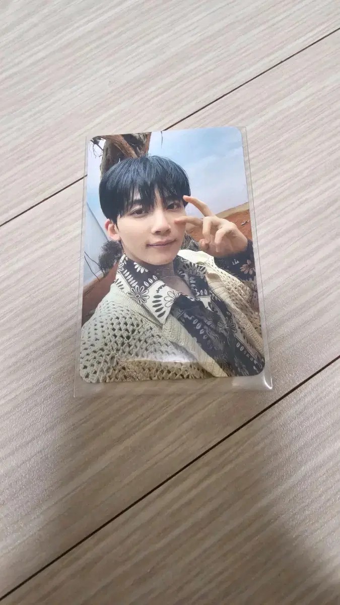 Seventeen jeonghan Feathersun lay photocard WTS