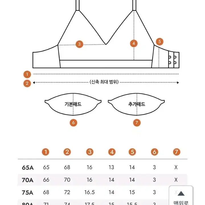 도로시와 필러브라 클레어 세트 75D