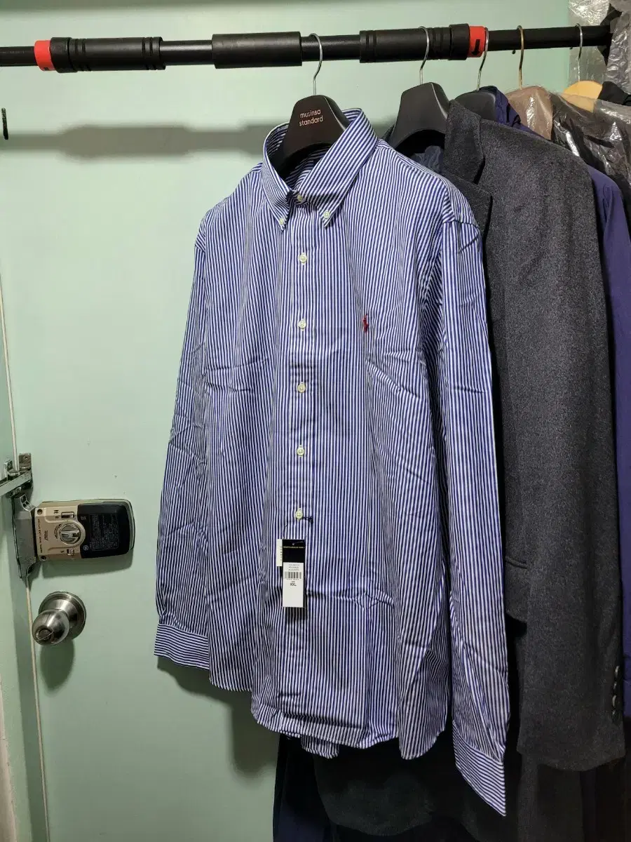 [Genuine New] Polo Poplin Shirt 2XL Stripe. Purple bloo XXL