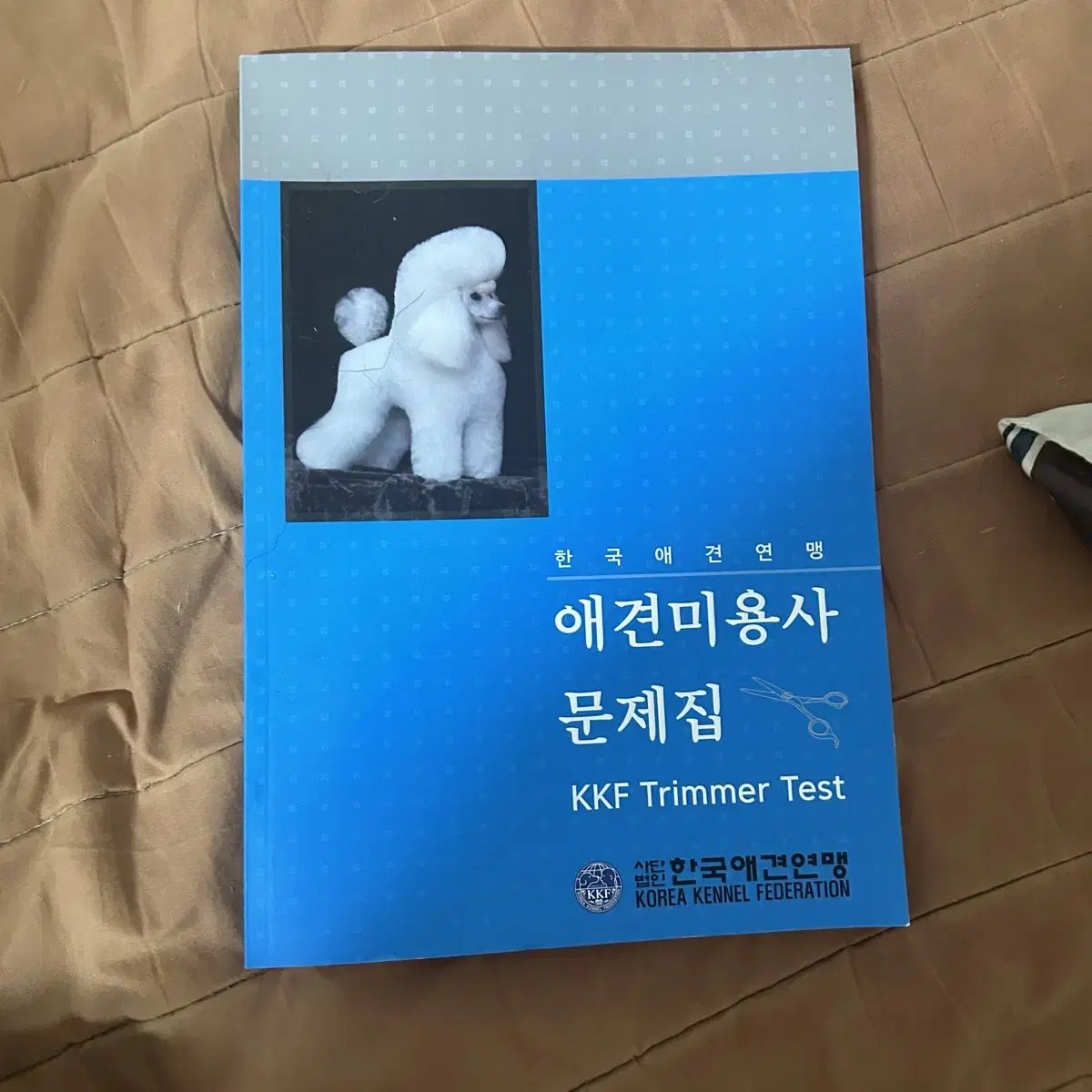 애견미용 문제집 새상품