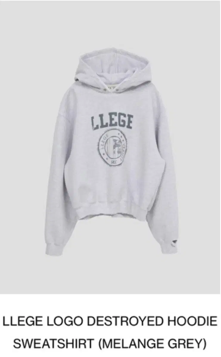 Recto cignature Hoodie Melange Gray