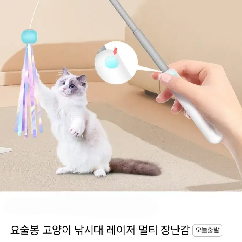 고양이 장난감 세트 일괄 무료배송(편의점반값)