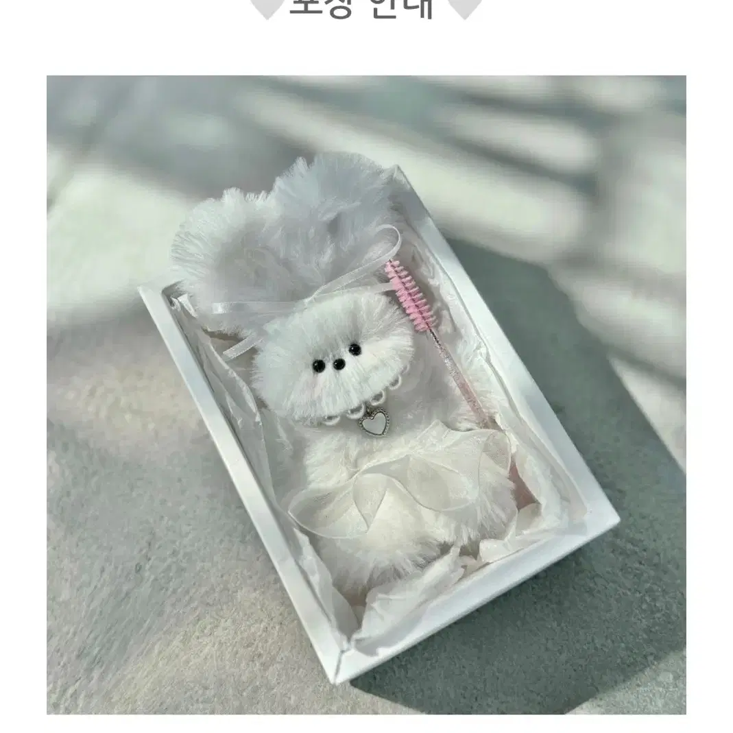 귀여운 모루인형 키링 입양하세요! + 무료 선물 포장