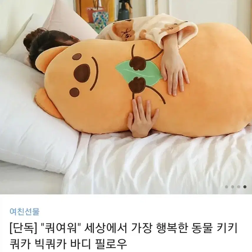 [미개봉/선물] 쿼카 인형 바디필로우 판매해요.