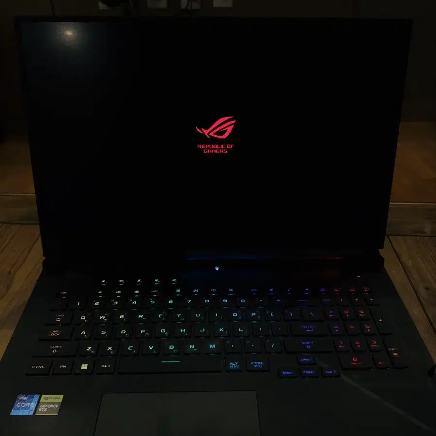 ASUS ROG STRIX G17 G733ZM 아수스 게이밍 노트북 팝니