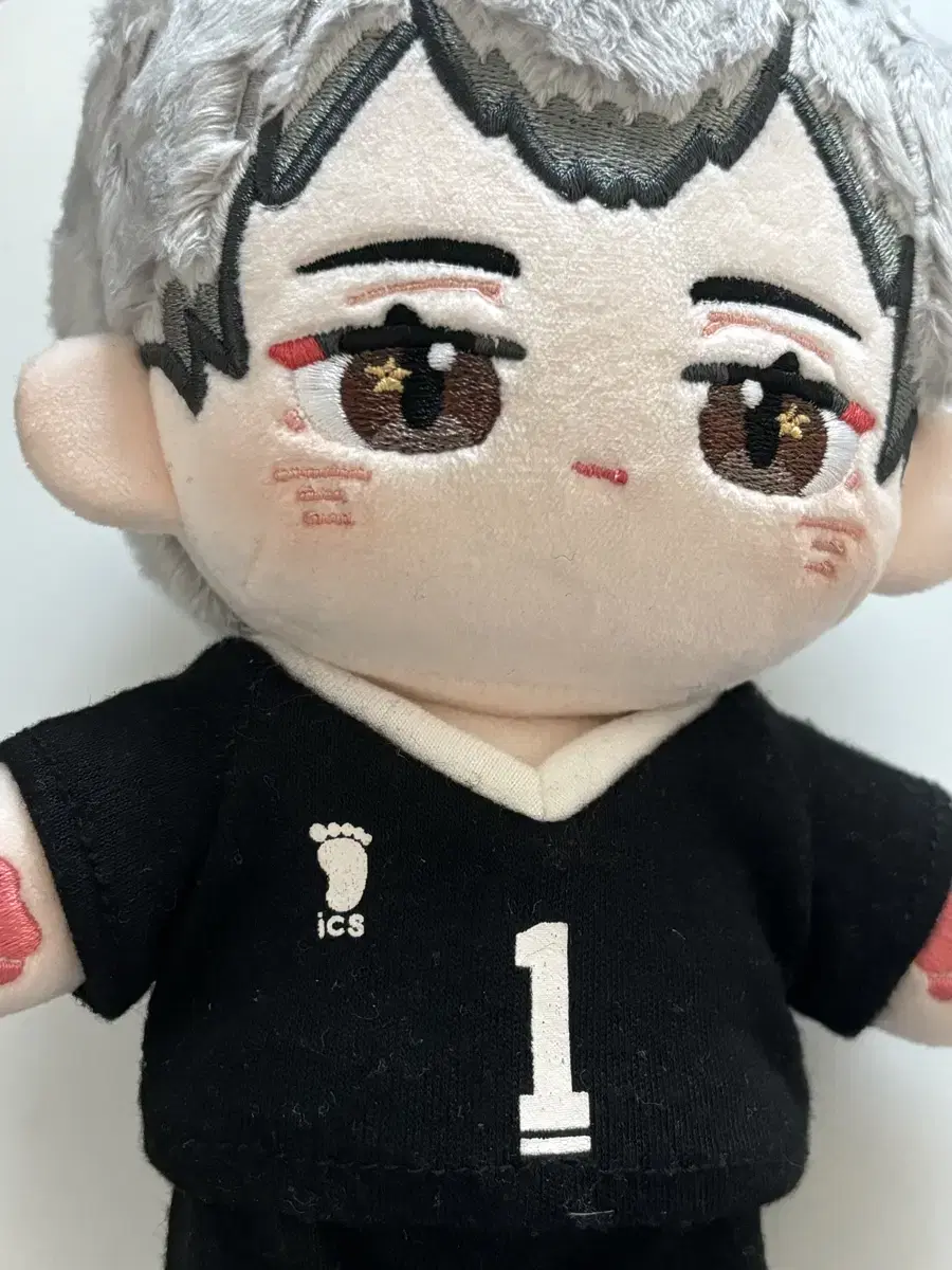 Haikyuu Kita 20CM Attribute Somyi Doll