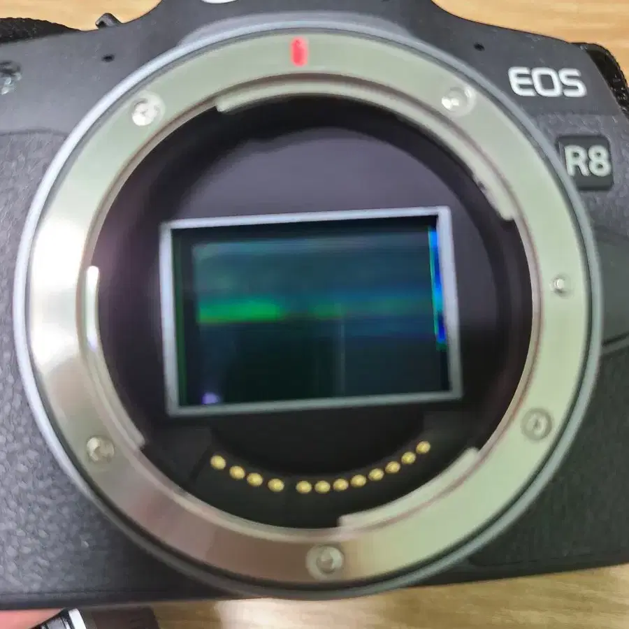 캐논 eos r8 24-50 랜즈포함