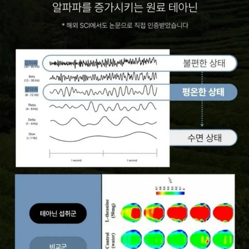 마음비타민