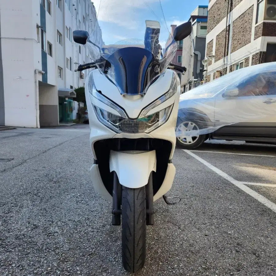 19년 pcx