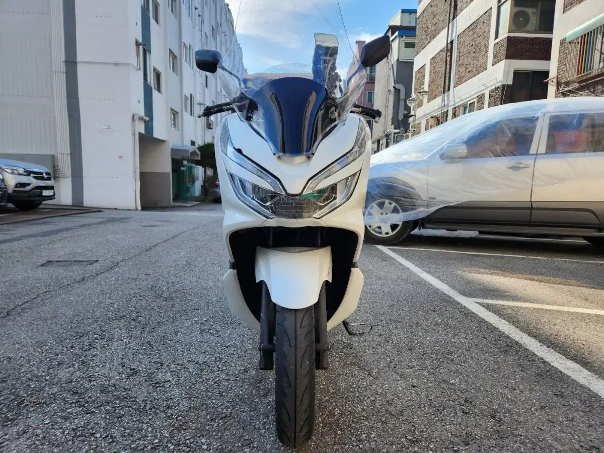 19년 pcx