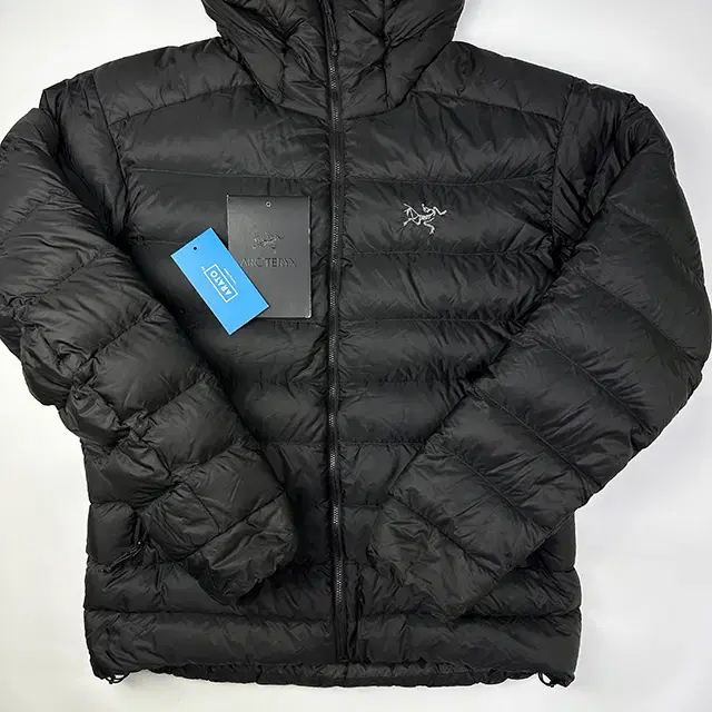 ARC'TERYX Cerium SV Hoody 아크테릭스 세륨 자켓