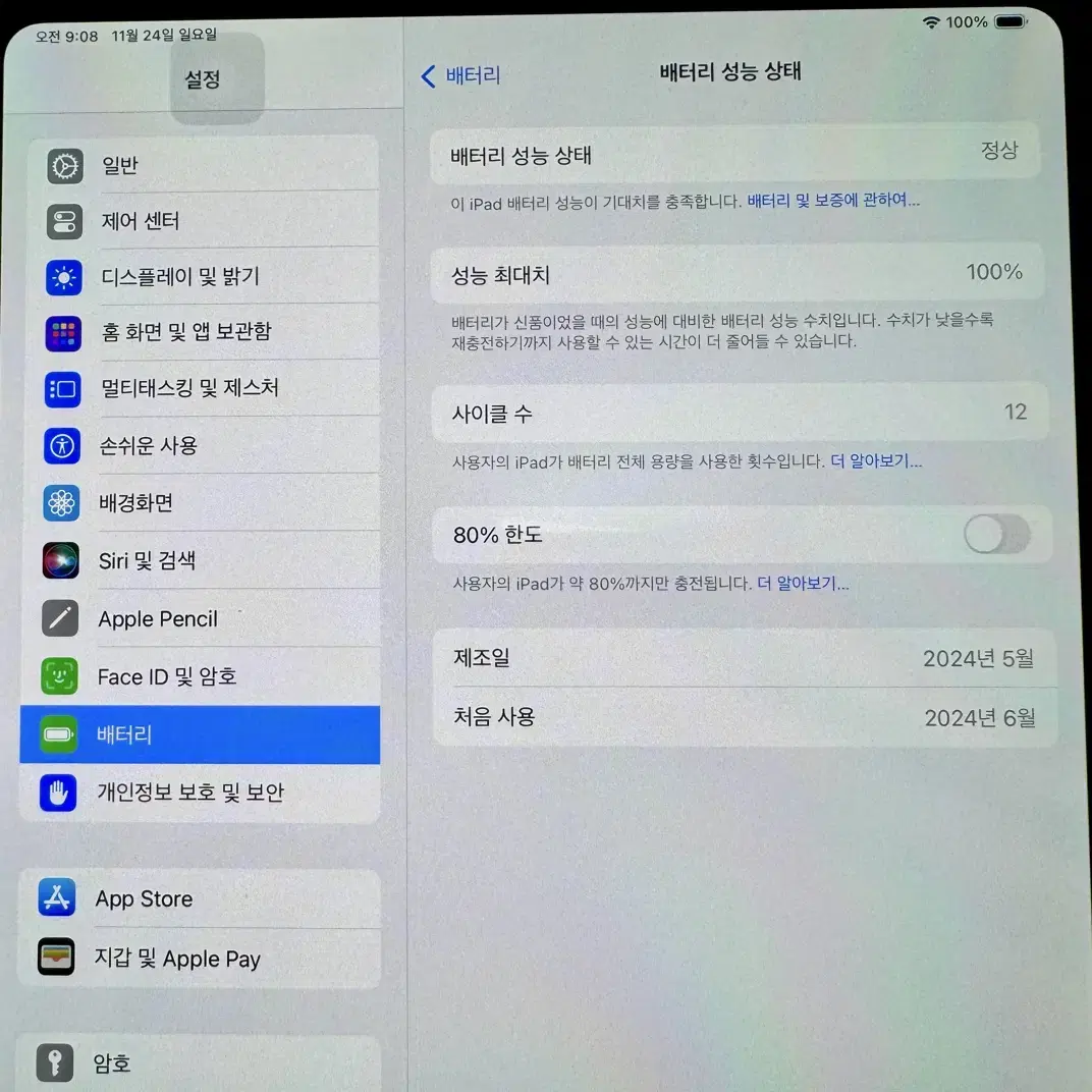 아이패드프로 11인치(M4) 256GB Wifi 실버 사이클12회