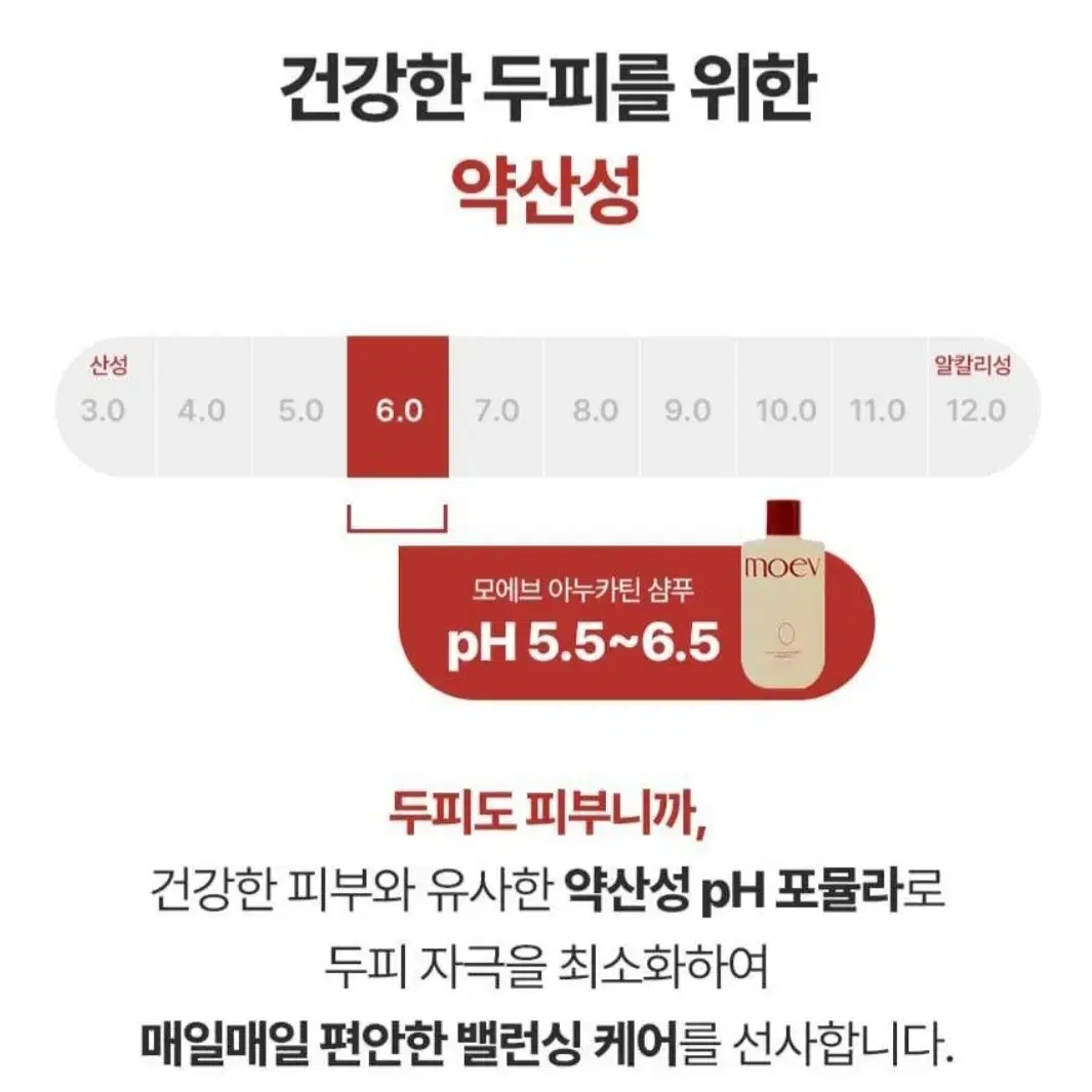 [새상품] 모에브 샴푸