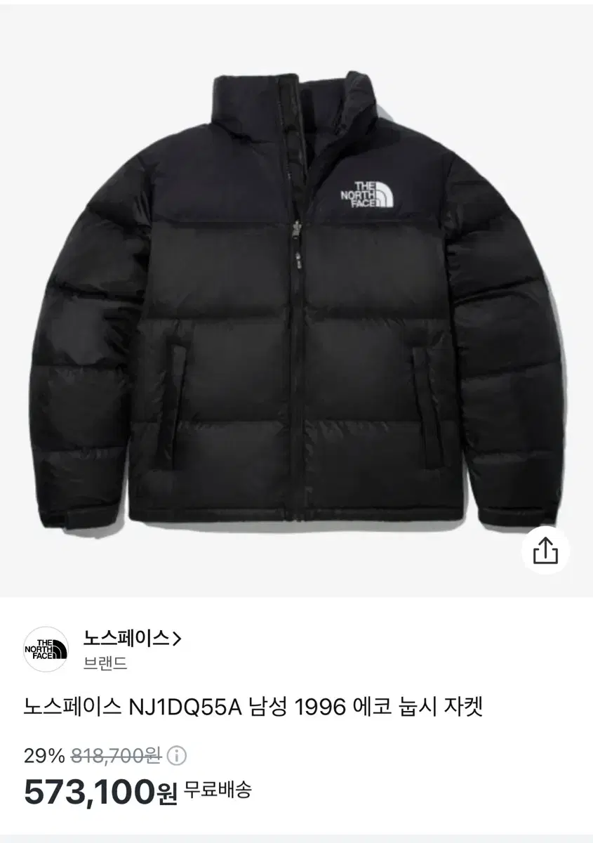 The North Face 1996 Knopsie Puffer 100 Large