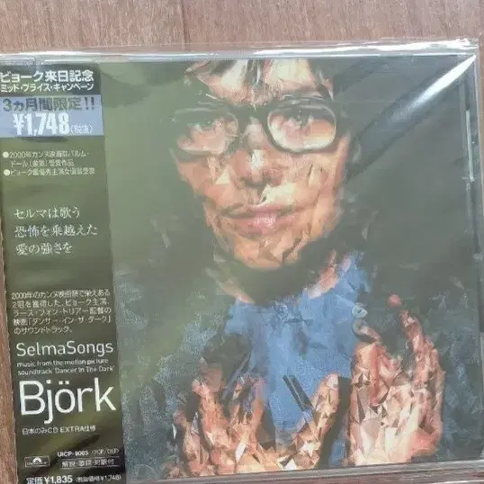 bjork cd 일본반 시디