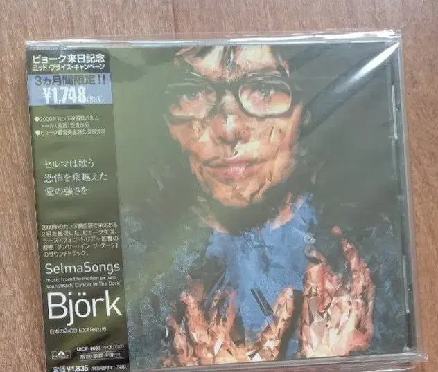 bjork cd 일본반 시디