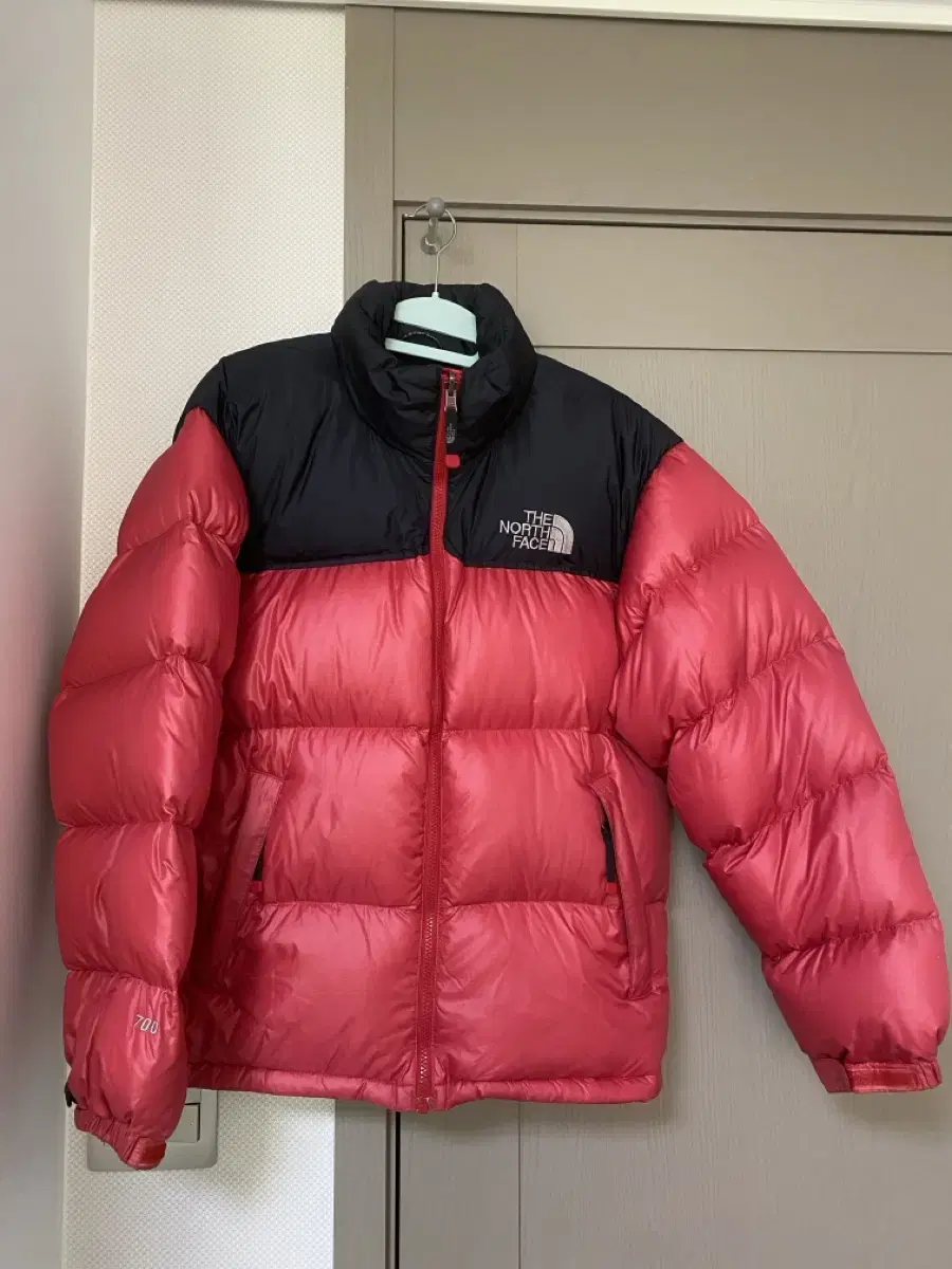 [95] The North Face Nupsi 700