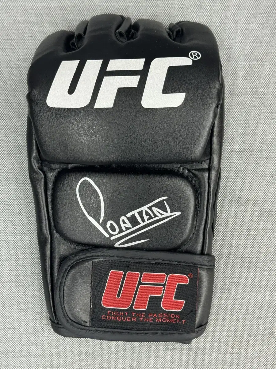 알렉스 페레이라 ufc 친필 사인 싸인 글러브 판매