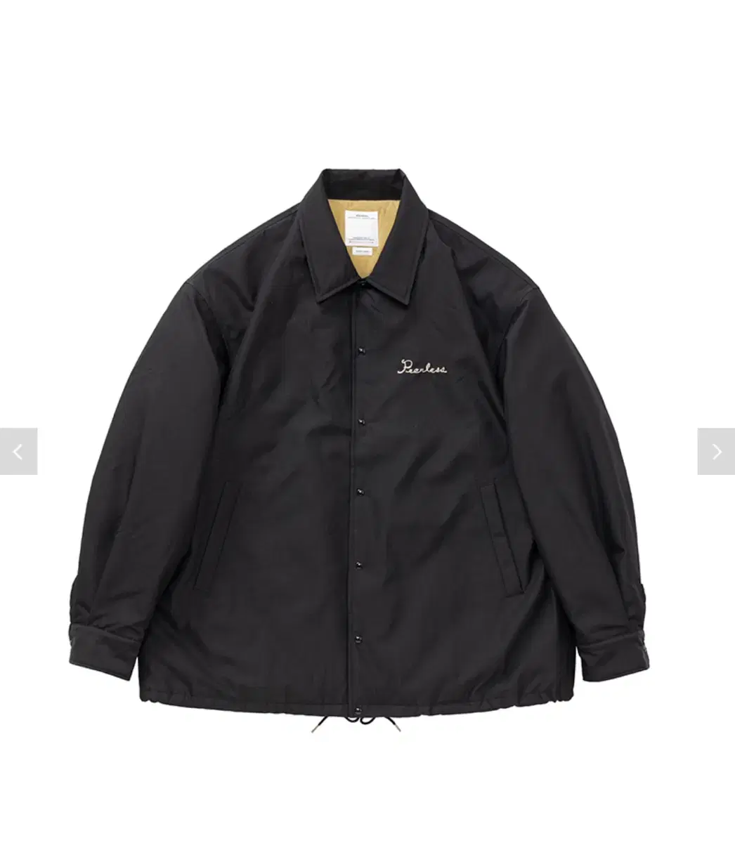 visvim 24fw coach down jkt