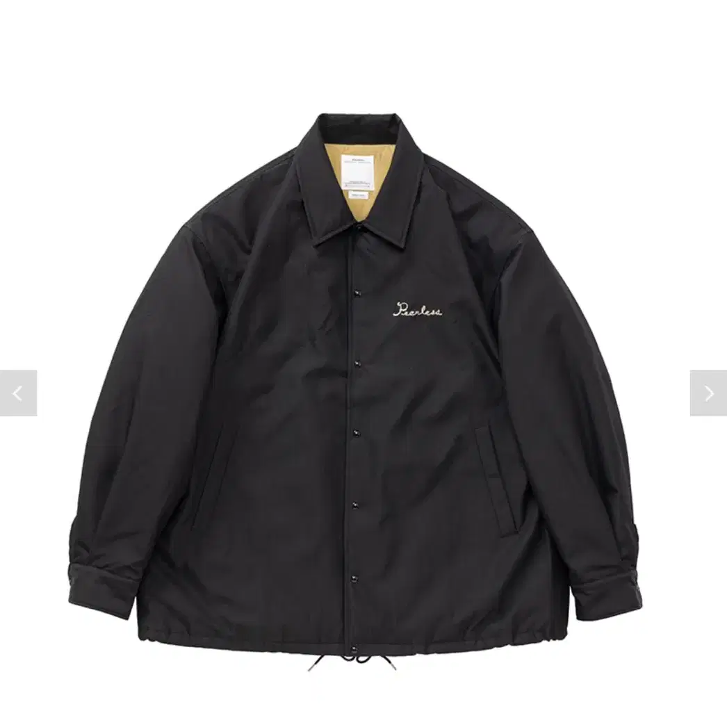 visvim 24fw coach down jkt