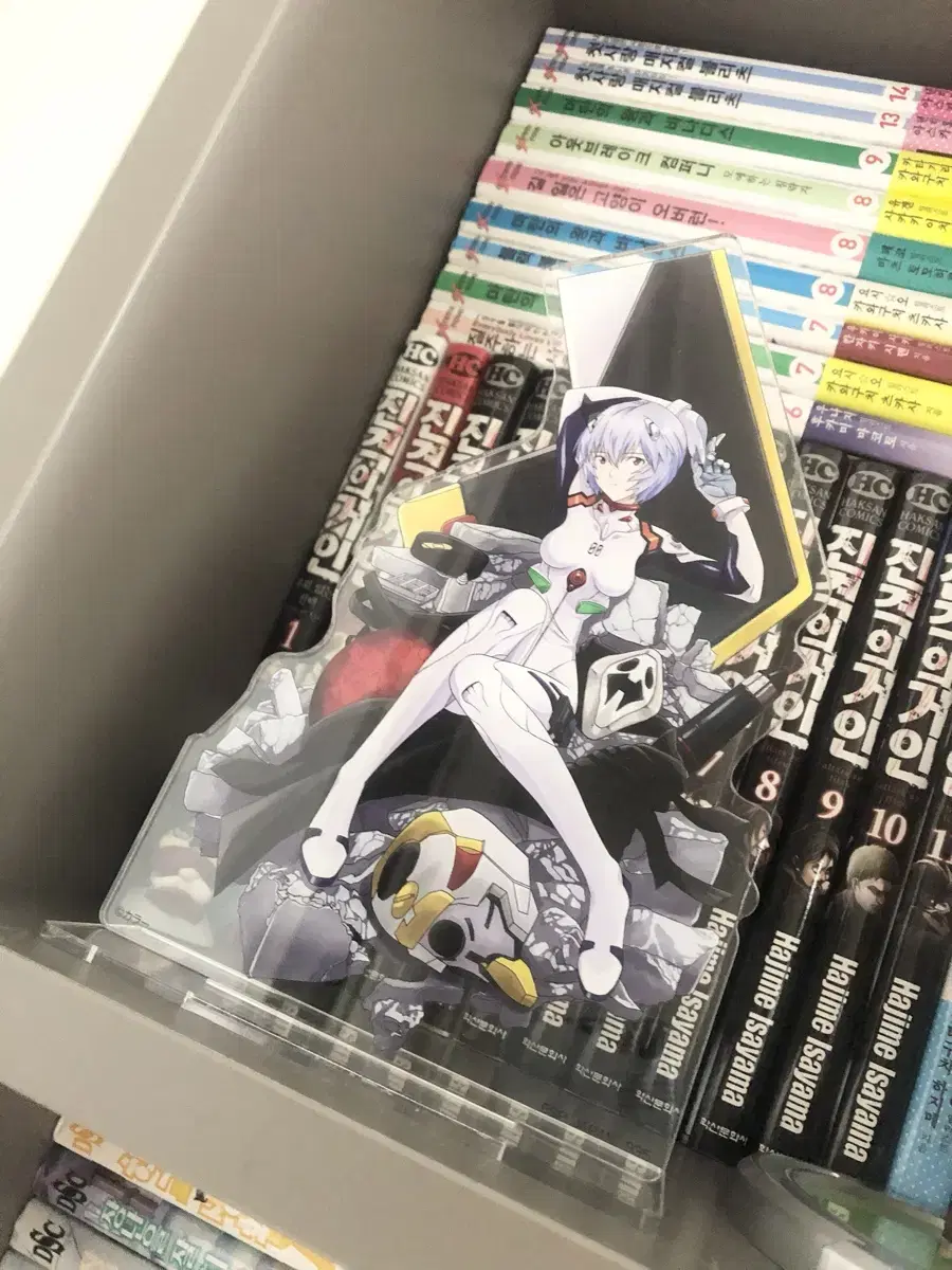 Evangelion lay 20cm Large acrylic stand sell Sister of the Cha Cha Figures