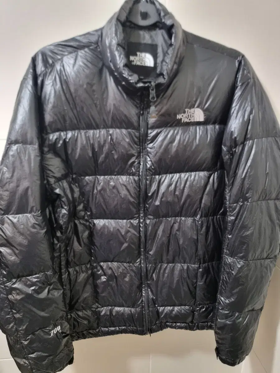 The North Face Goose Down 700 Puffy 100L