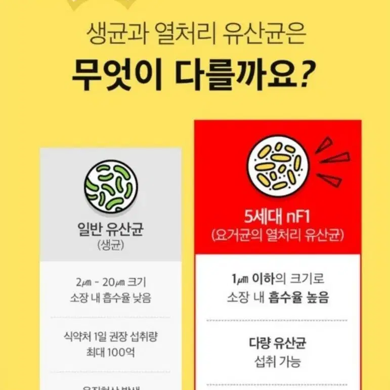 딸기맛유산균