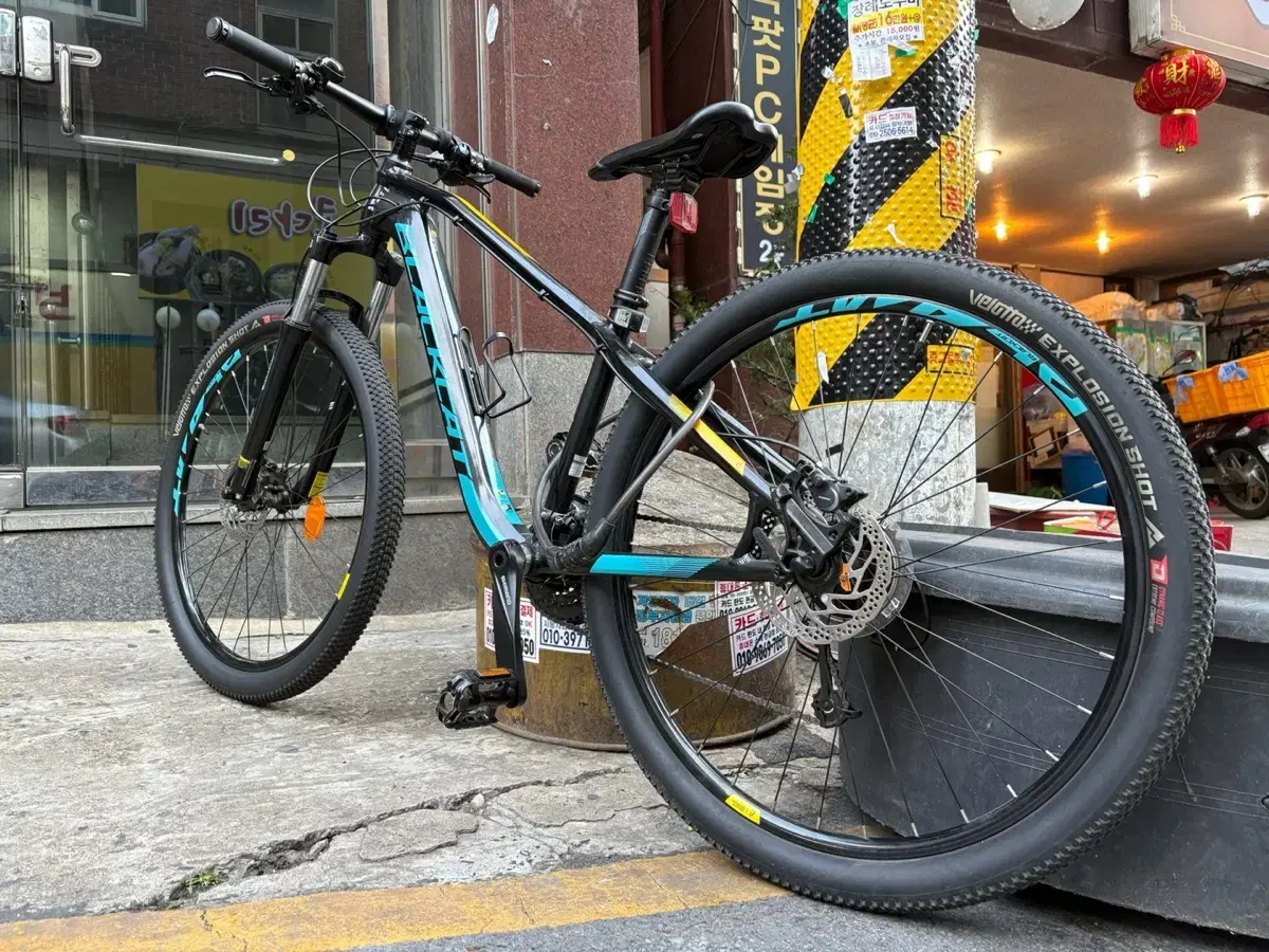 블랙캣 M5 MTB자전거