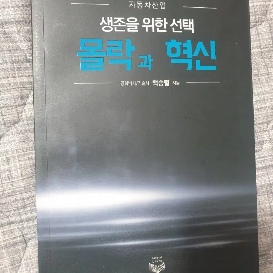 자동차산업 생존을  위한 선택