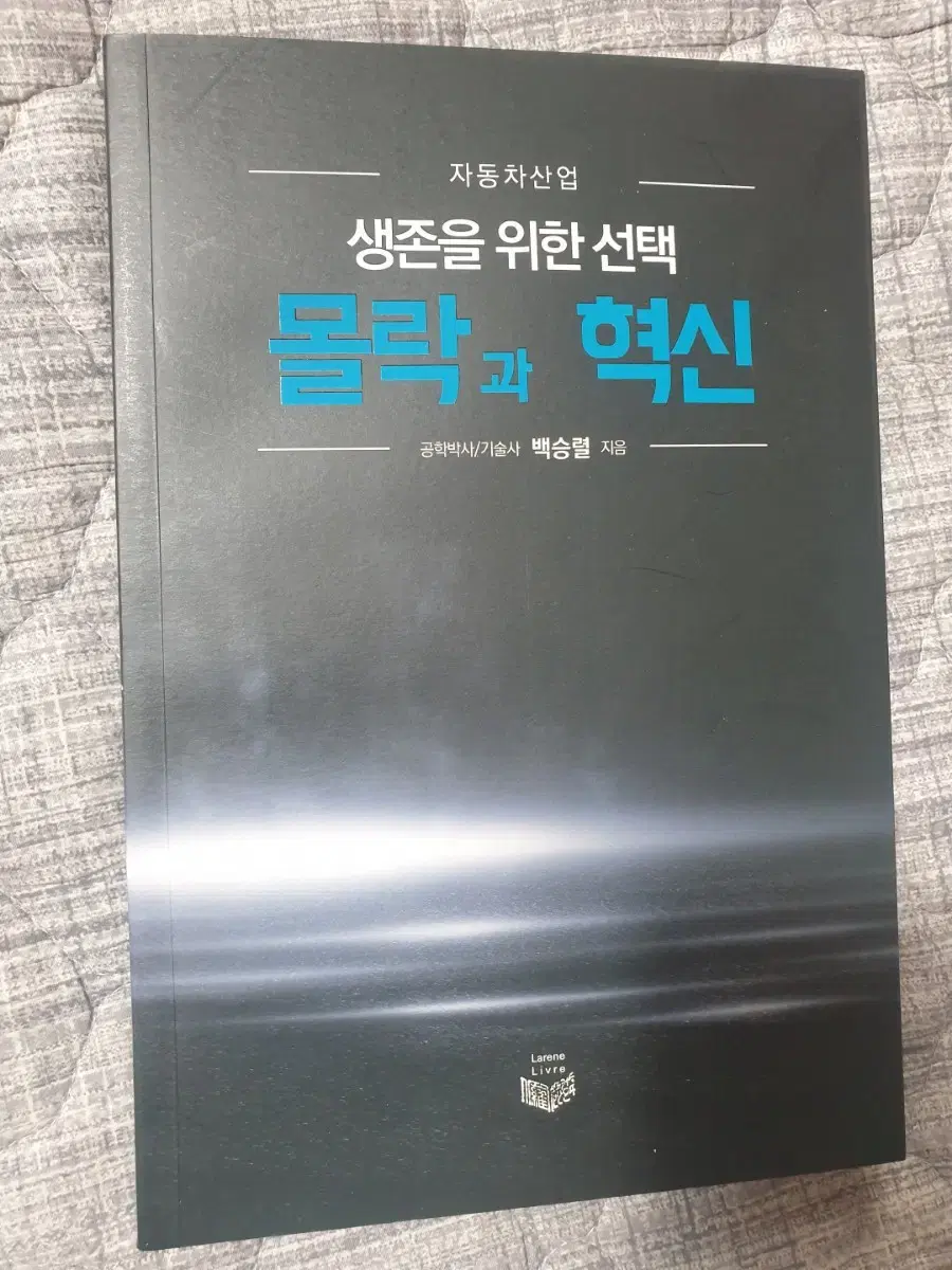 자동차산업 생존을  위한 선택