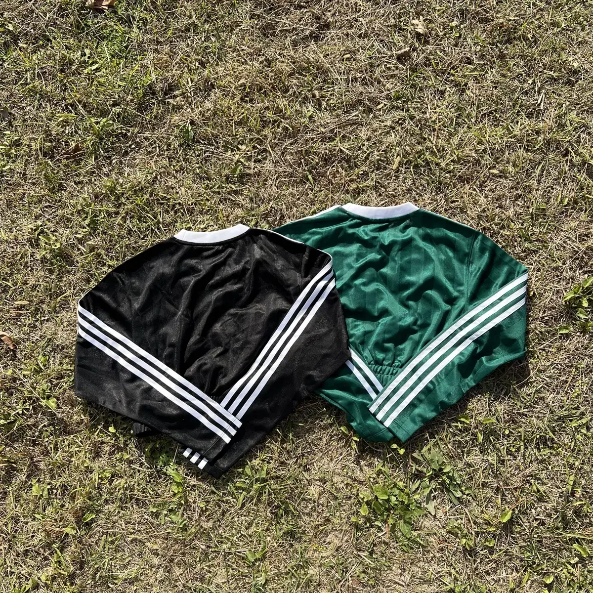 adidas New Crop T-shirt(S)