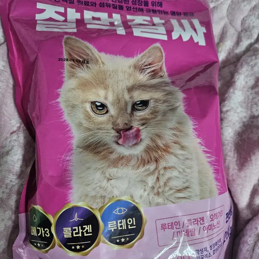 고양이 사료 잘먹잘싸