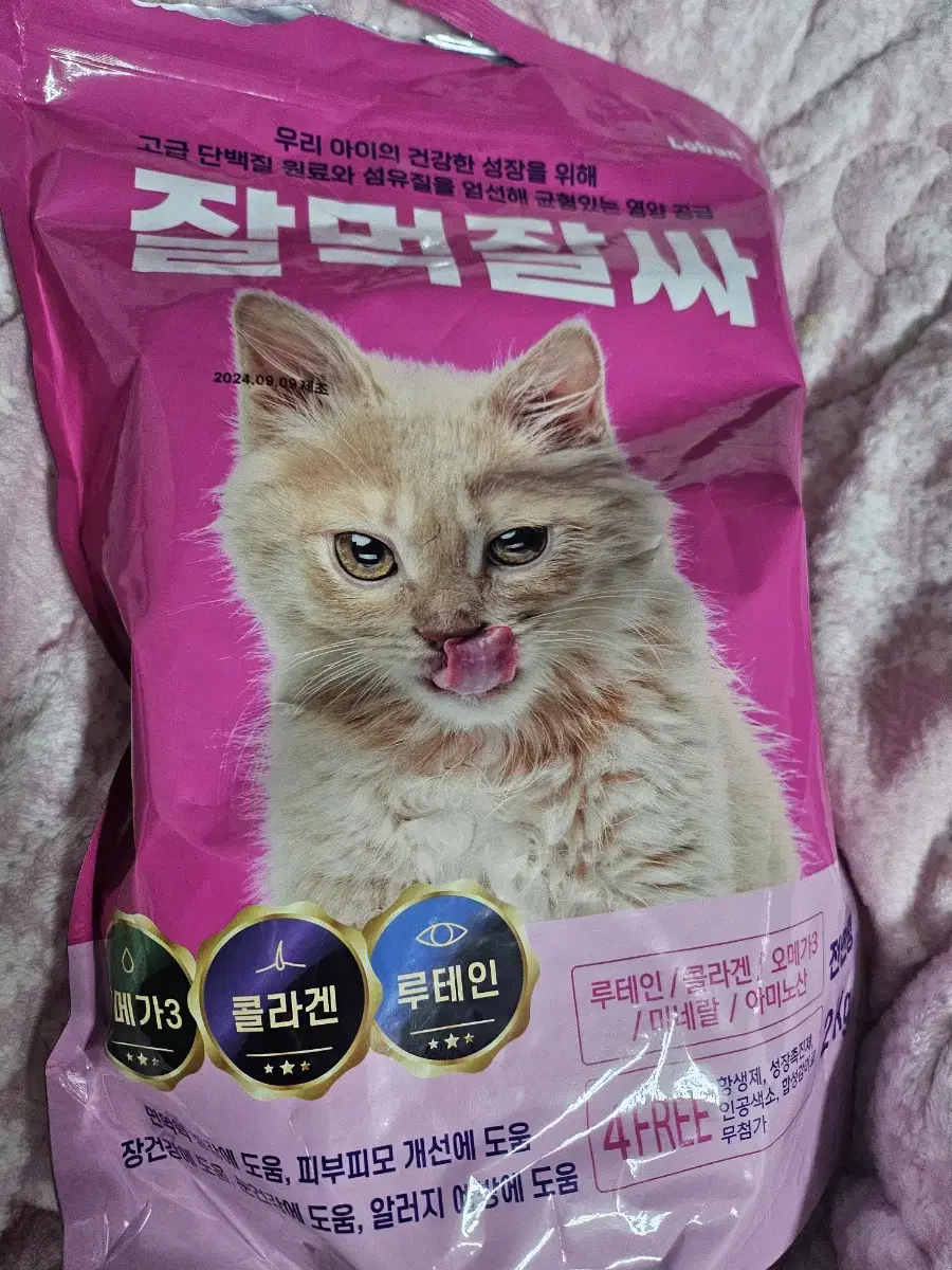 고양이 사료 잘먹잘싸