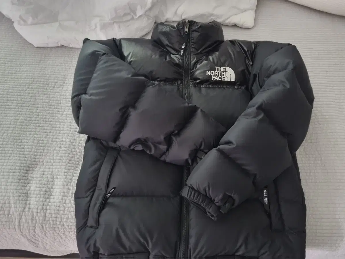 The North Face1996 Eco Bloo Nopsie