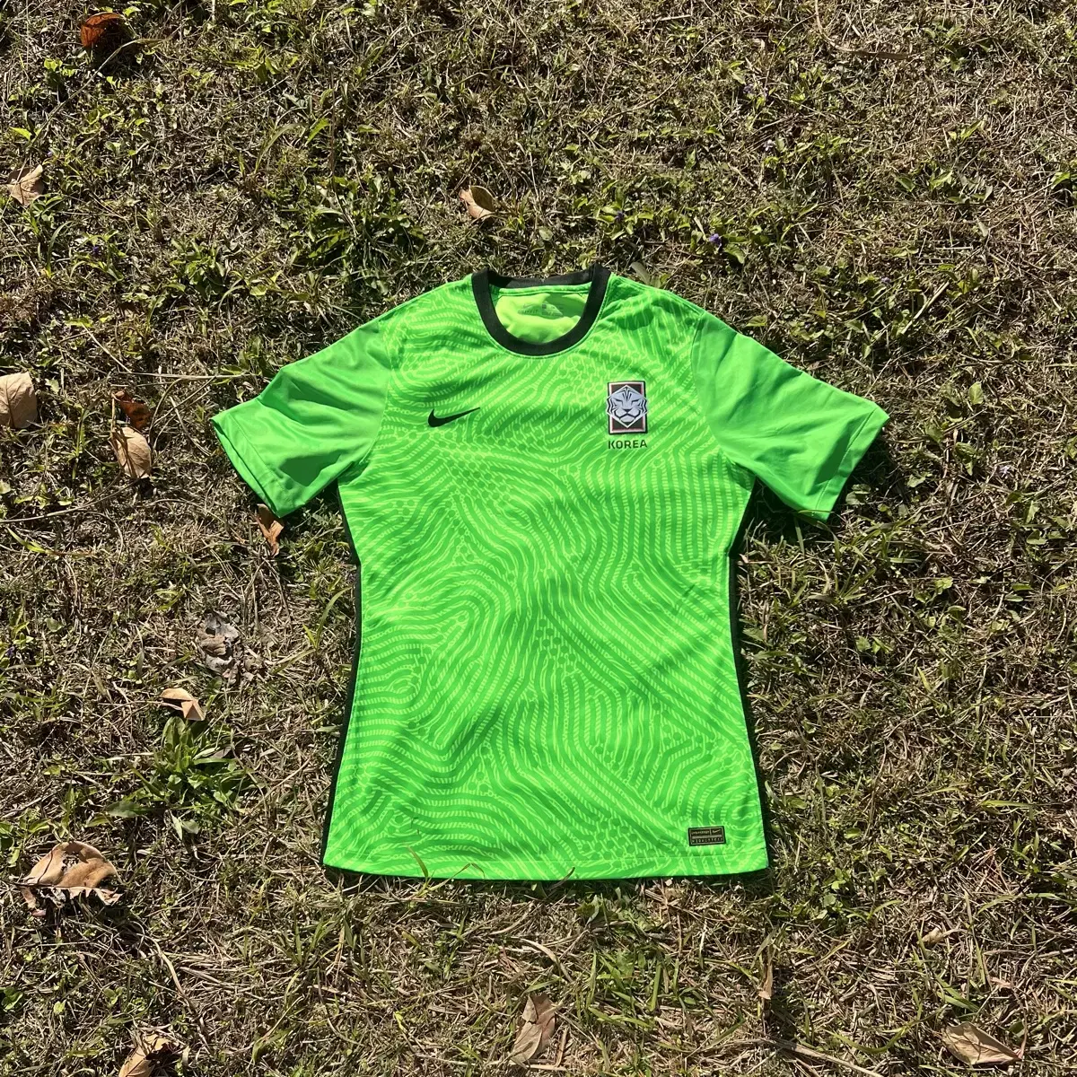 Nike Korea's national goalkeeper uniform