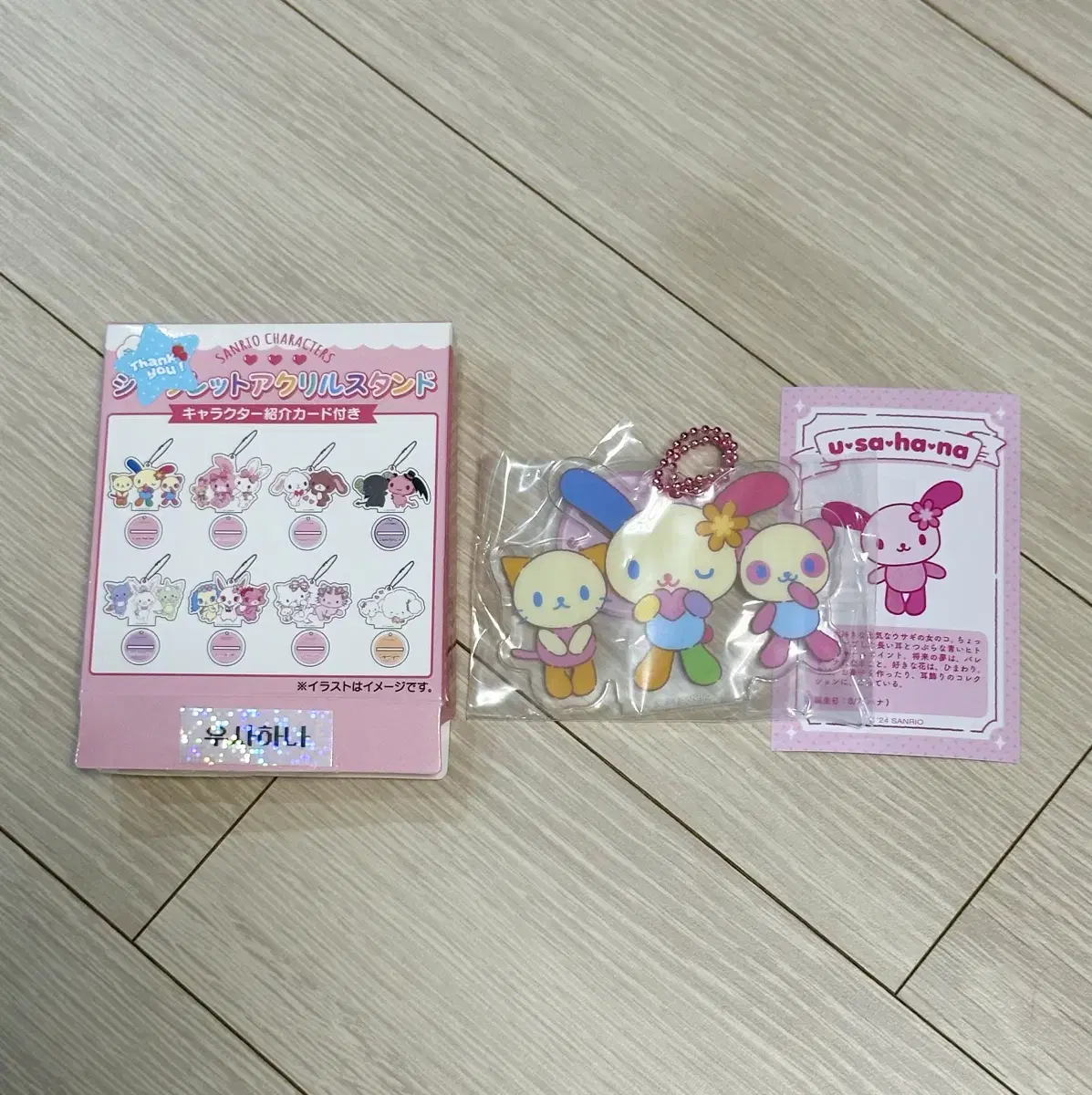 Sanrio Secret Acrylic Stand Usahana (Unsealed)