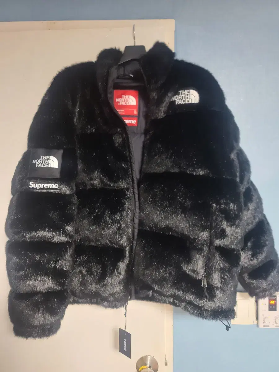 Supreme The North Face Pernupsi XL