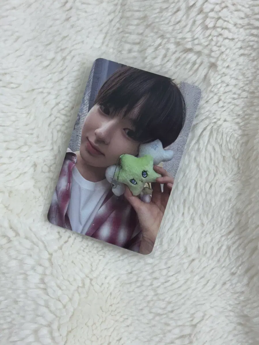 NCT Wish Sakuya Chuu photocard transfer