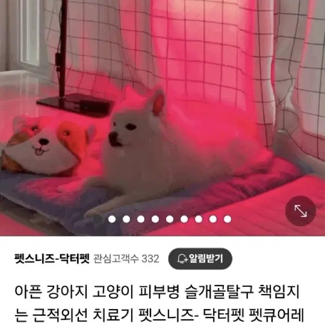 강아지 근적외선 치료기 펫큐어레이