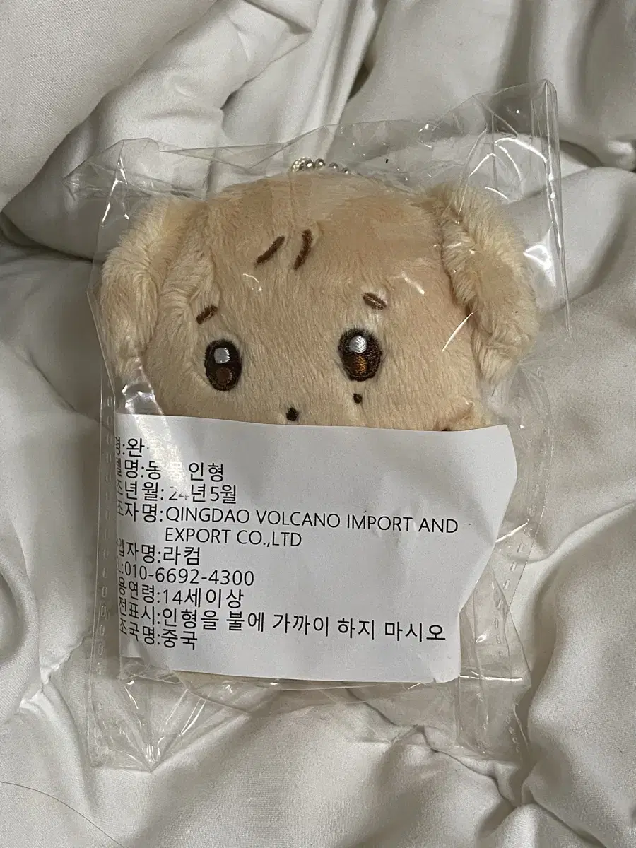 seventeen dk doll wts gompu challengei gomber acorns