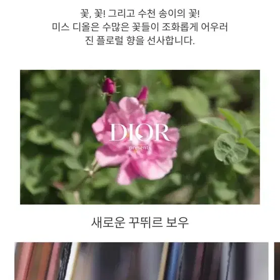 미스디올 오드퍼퓸 50ml