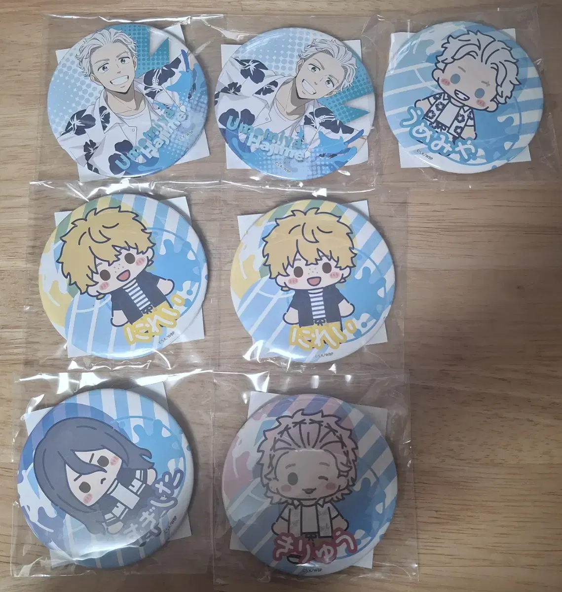 Winbre Segakuji Badge Individual wts (Umemiya/Kiryu/Nirei/Sugishita)