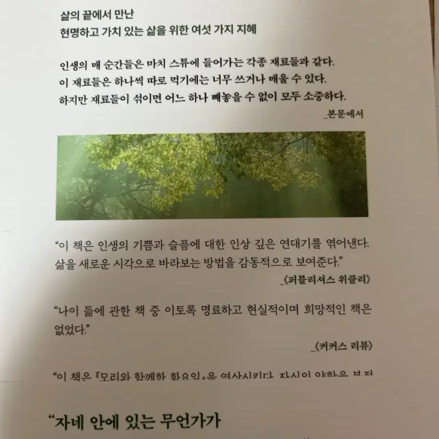 만일 나에게 단 한 번의 아침이 남아 있다면