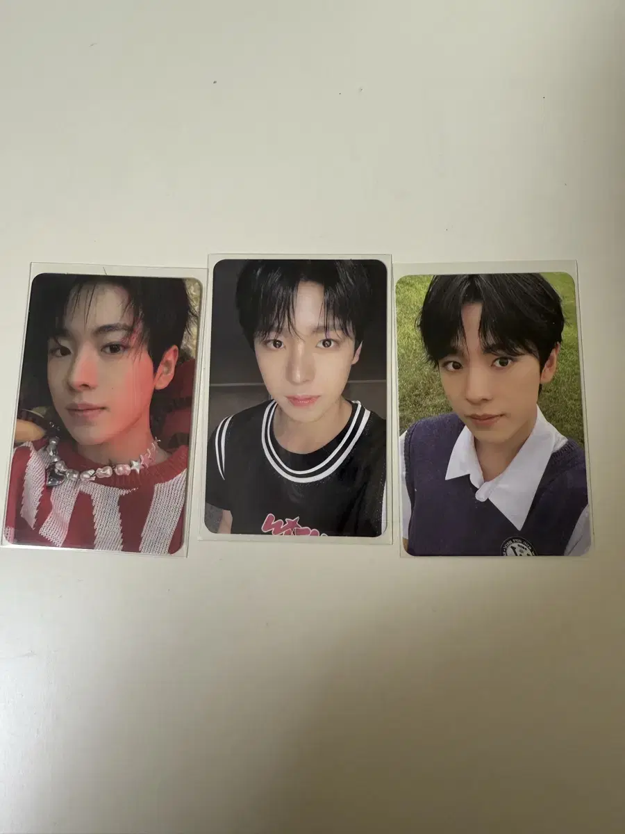 nct wish steady u photocard bulk