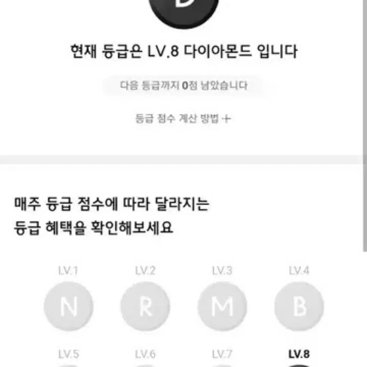 글 필독!!) 무신사 다이아 최고 등급 대리구매