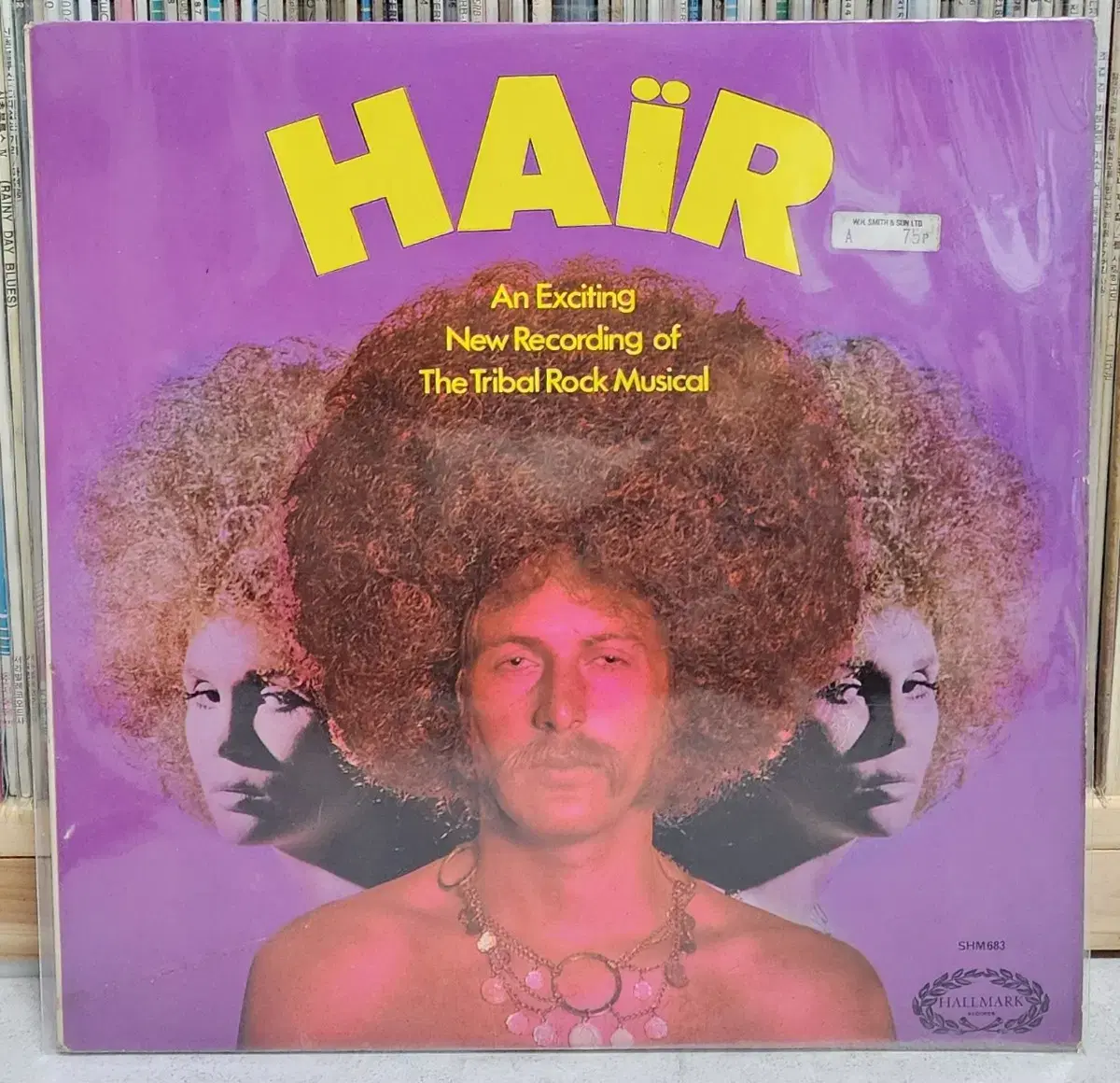 Rock Musical Hair Import LP